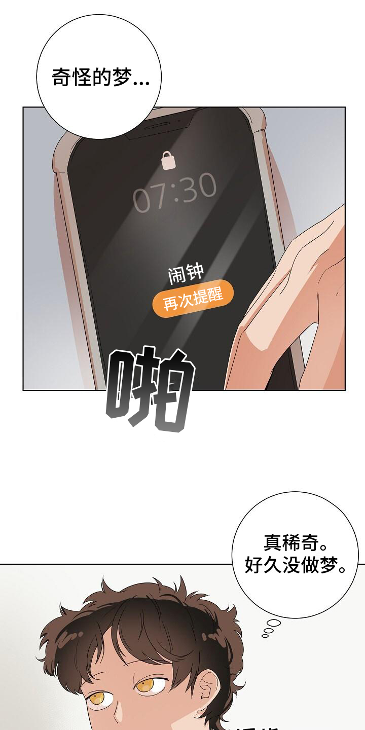 阴霾的终点漫画,第1章：梦的开始4图