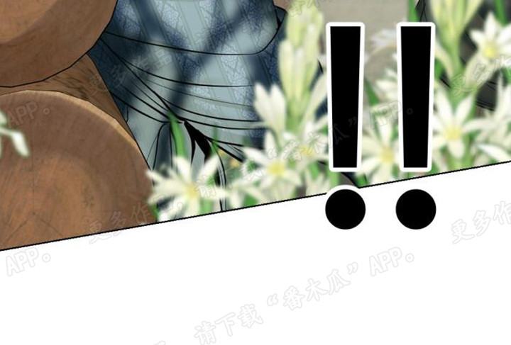 暹罗最美的少爷漫画,第49章：时光飞逝3图