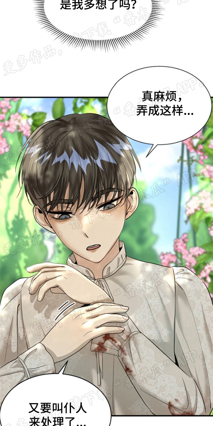 暹罗最美的少爷漫画,第39章：暗示5图